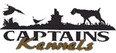 Captains Kennels Specializing in German Wirehaired Pointers, in Western Wisconsin, and Twin Cities Metro Area